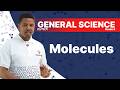 Molecules Explained for Grade 8 | General Science
