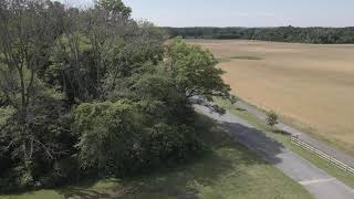 DJI 0037