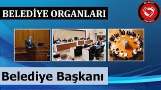 Belediye Başkanı Kimdir? Nasıl Görev Yapar? (Belediye Organları Serisi)