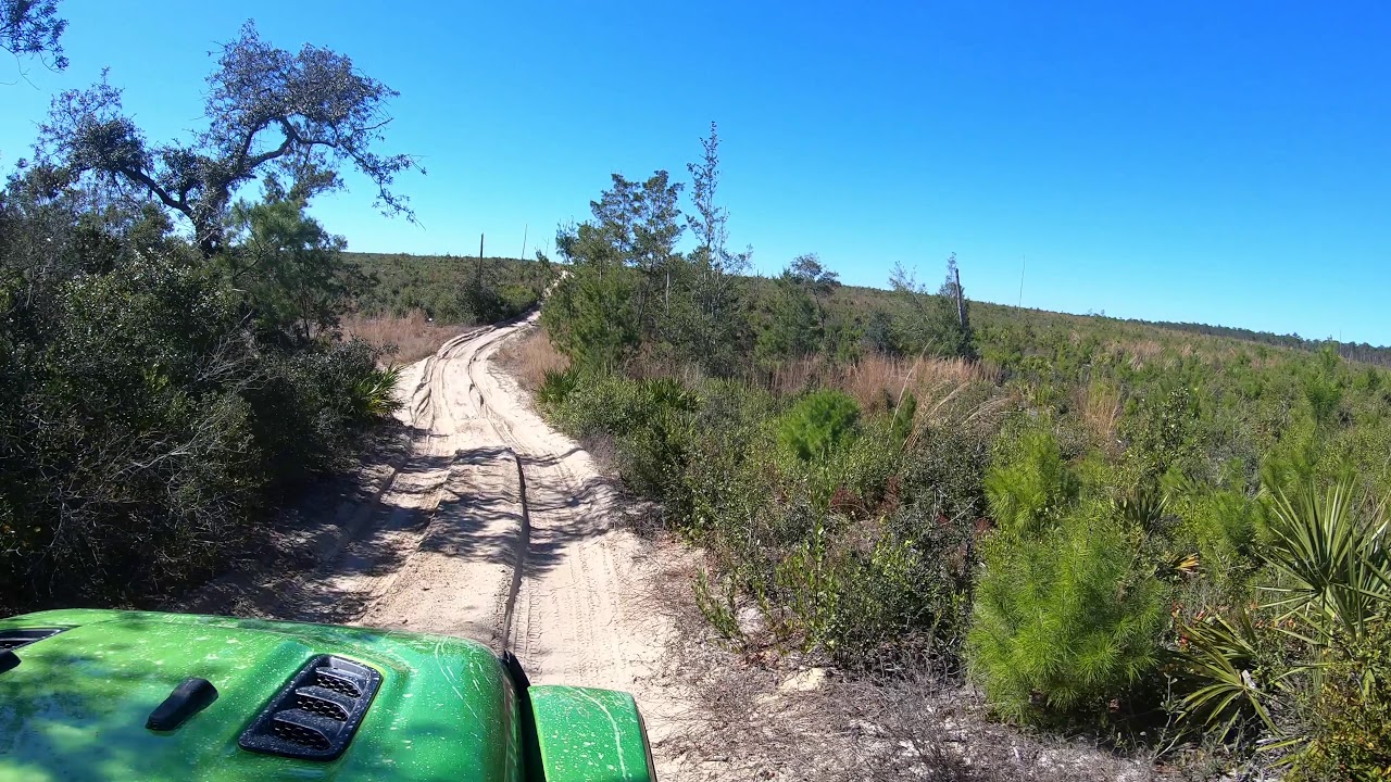 Ocala Forest Road 22, Florida GPS Map, Photos Reviews