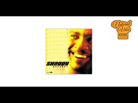 Shaggy - Angel Feat. Rayvon | 432hz