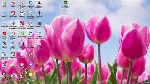 Membuat Database dan Koneksi Database Menggunakan Adobe Dreamweaver