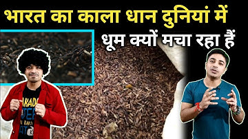 भारत का "काला धान" दुनियां में धमाल मचा रहा हैं #shorts / Jasmin Patel / #jasstag