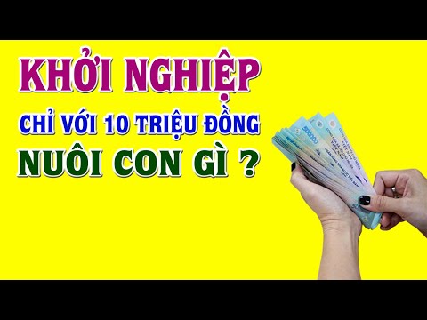 Video: Kết nối 