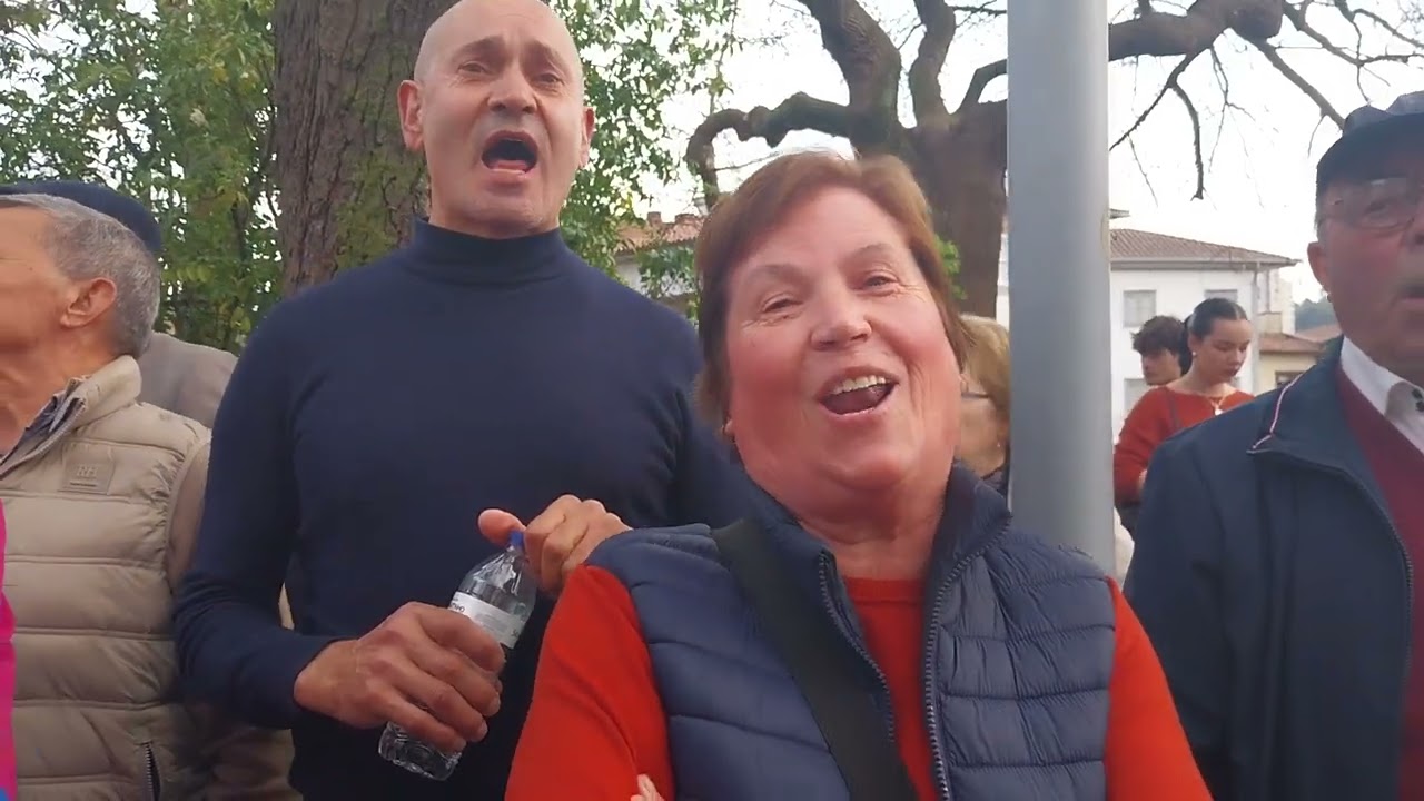 Concertinas do toural guimarães 