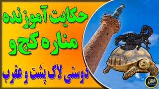 حکایت مناره کجه: حکایت آموزنده وجالب دوستی لاک پشت وعقرب: داستان آموزنده