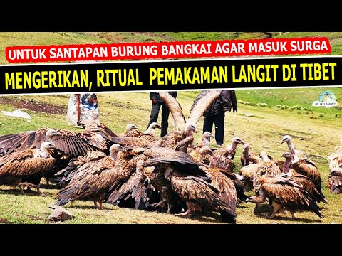 Ritual Pemakaman Langit di Tibet_jenazah sengaja dijadikan makanan burung