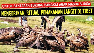 The Sky Burial Ritual in Tibet - the body is deliberately used as bird food