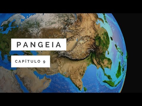 Vídeo: Os Cientistas Mudaram O Momento Da Divisão De Pangea Devido A Um Achado Incomum - Visão Alternativa