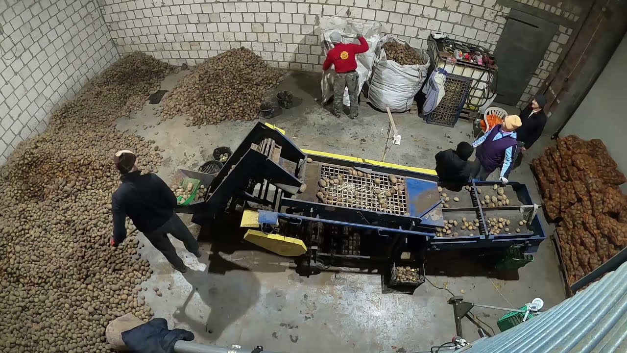 Sprzedaż ziemniaków || Jak mi idzie ?? || Jaka cena ??