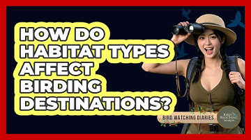 How Do Habitat Types Affect Birding Destinations? - Bird Watching Diaries