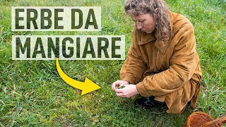 Riconoscere ERBE SPONTANEE commestibili nel nuovo terreno. Con Wateki 🌱