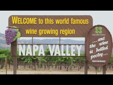 4 Unique Napa Valley Wineries You Need to Visit Now | POPSUGAR Food