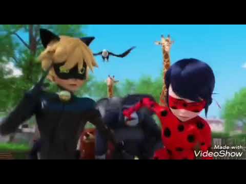 Run!! Miraculous 😂