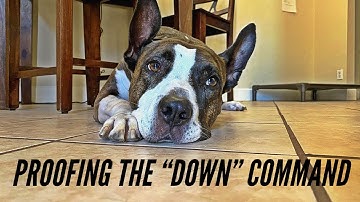 Proofing the “Down” command - FOLLOW UP!