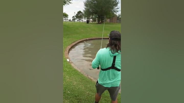 How to Catch a Fish (the easy way)