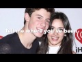 I Know What You Did Last Summer Lyric Video {Shawn Mendes and Camila Cabello}