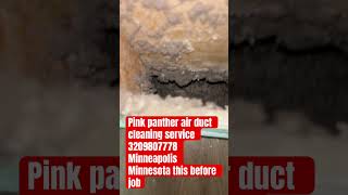 Pink panther air duct cleaning service 3209807778 Minneapolis Minnesota