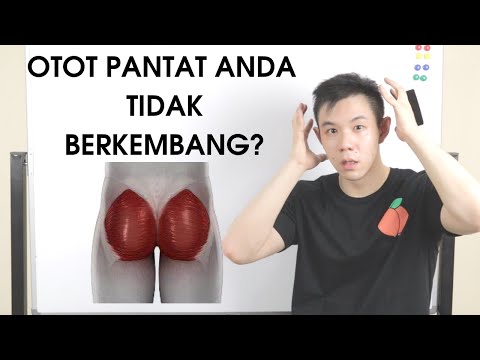 Video: Pantat Paya: Perkara Yang Harus Dilakukan Dan Tidak Harus Menghentikan Peluh Punggung Di Lintasannya