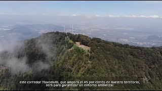 Patrimonio ambiental más valioso de Tlajo: Cerro Viejo - Gobierno de Tlajomulco