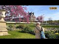 Paris Walking 4k 60fps - France Street Walkthrough - City Virtual Tour 🌸