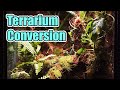 I made my fish tank into a jungle terrarium  terrarium experiment 