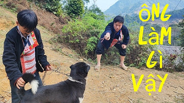 phim hài ngắn dân tộc dao đỏ sự tích con rể và nhạc gia