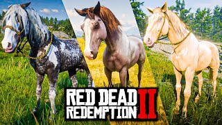 TOP 10 MELHORES CAVALOS - RED DEAD REDEMPTION 2