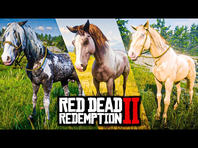 Red Dead Redemption 2: confira os melhores cavalos do jogo