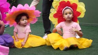DSCF1547.AVI