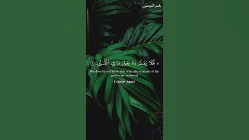 #سورة_العاديات وَالْعَادِيَاتِ ضَبْحًا فَالْمُورِيَاتِ قَدْحًا فَالْمُغِيرَاتِ صُبْحًا