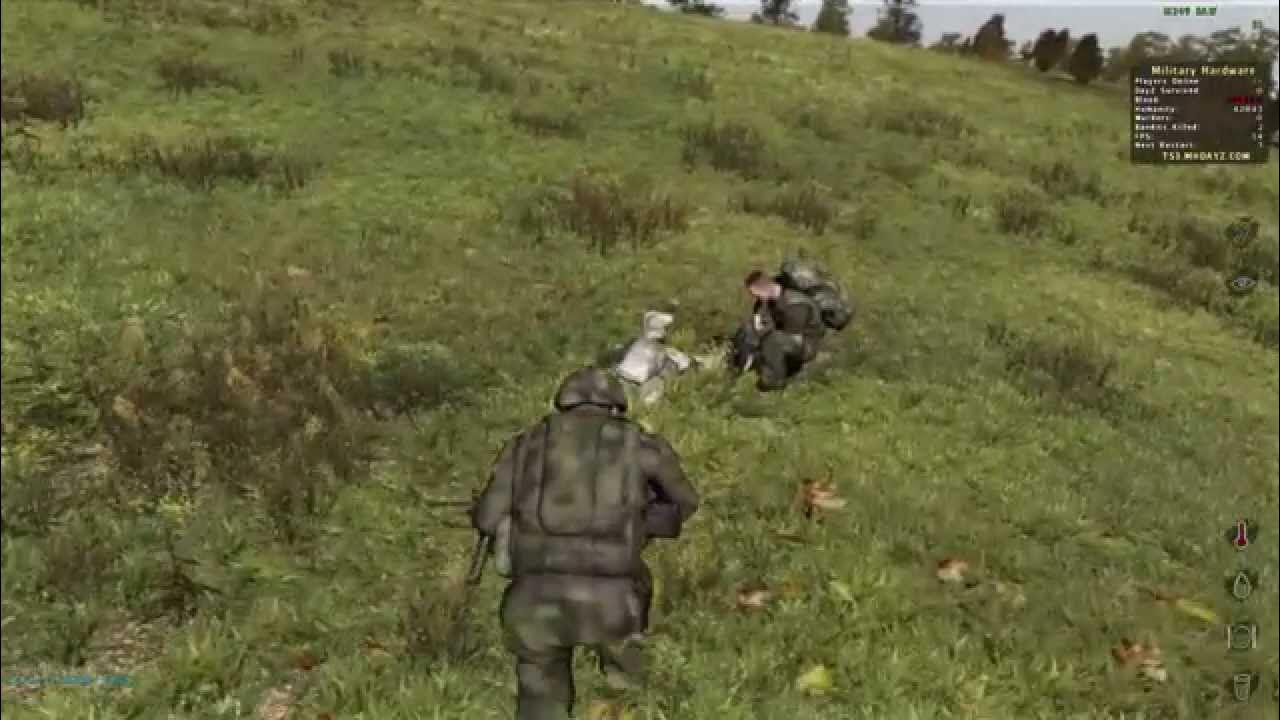 Killed dayz