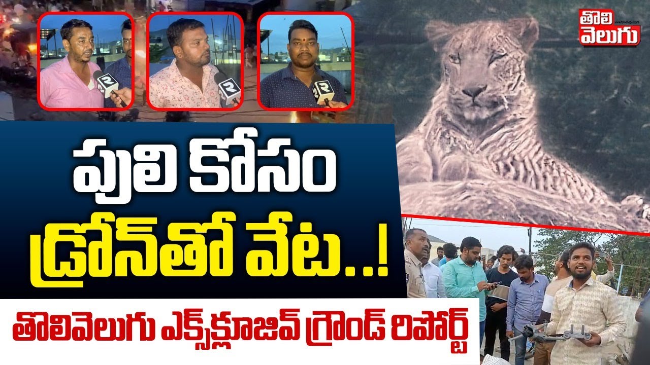పులి కోసం డ్రోన్‌తో వేట..! | Tiger Hulchal At Mahabubnagar | Tolivelugu Exclusive Report