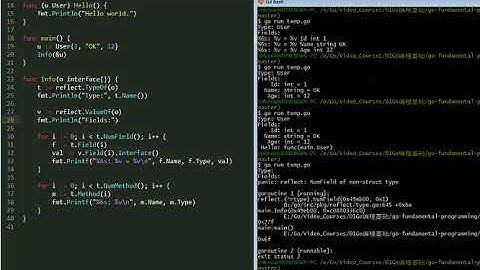 《Go编程基础》15集_无闻讲师-【Go编程基础】13反射reflection -Go视频教程-Go语言基础教程