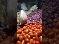 tomato market price to day #imported #video #viral