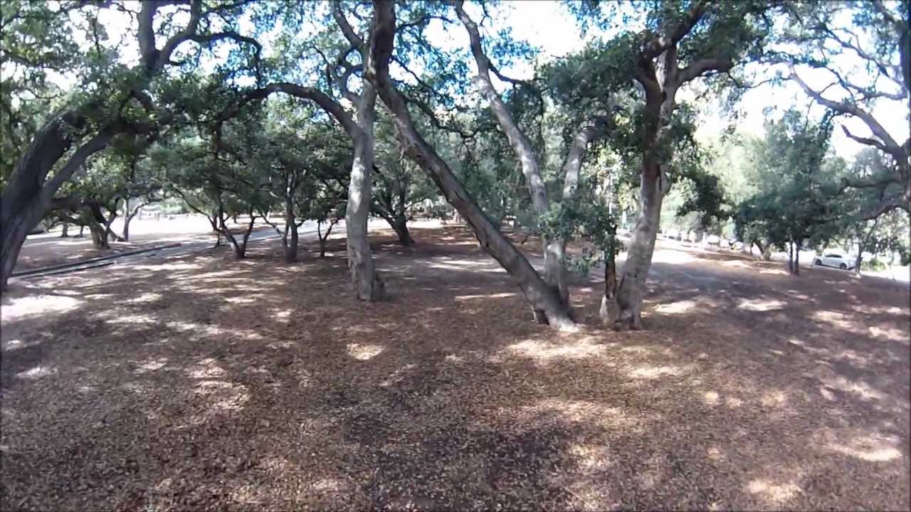 H Quad Flying at Chatsworth Park