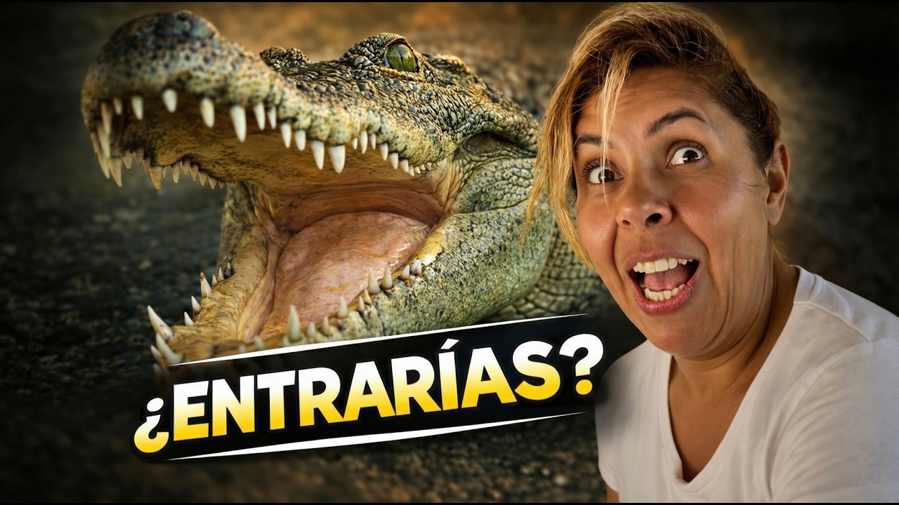 Toqué un Cocodrilo GIGANTE en Yucatán (Casi sale mal 😱)