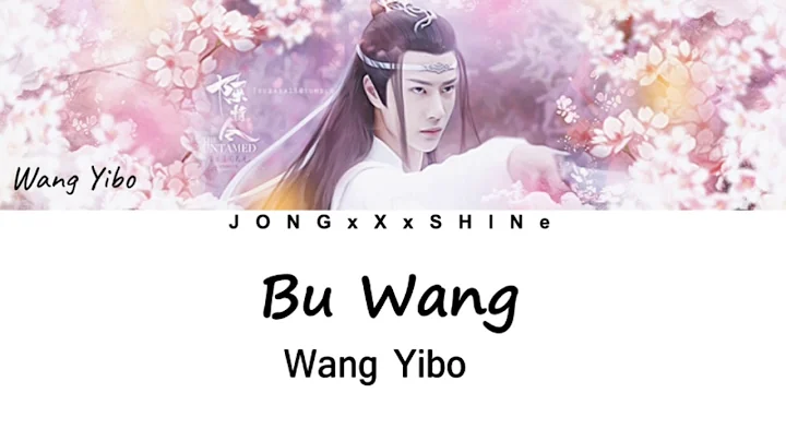 王一博(Wang Yibo) - 不忘(Never Forget) [陈情令OST] (Chi/Pinyin/Eng lyrics) - 天天要闻