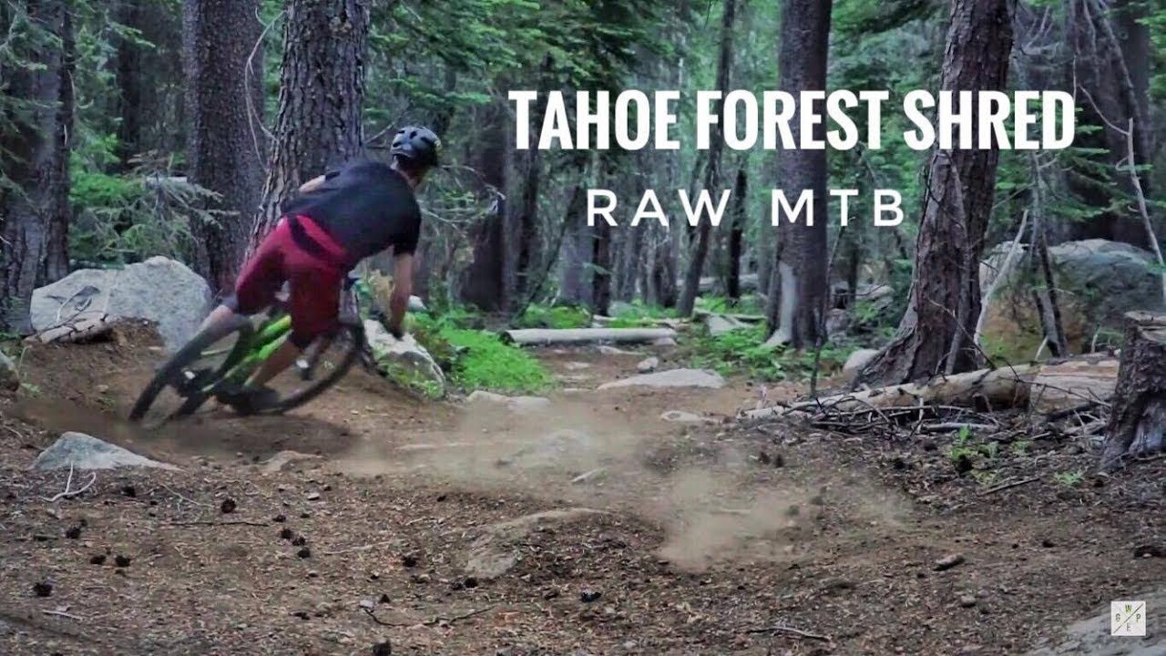WGPE // Tahoe Forest Shred RAW MTB
