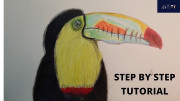 Realistic toucan drawing tutorial with coloured pencils||By Sundhar|| #BsksAllInOne #timelapse
