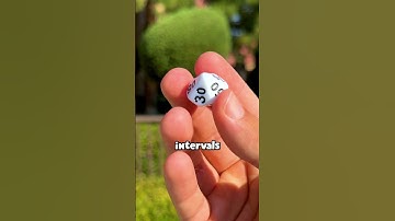 what 100 sided di looks like