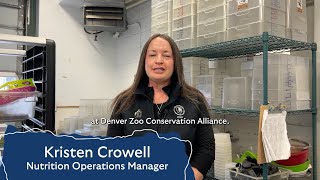 Animal Nutrition at the Zoo | International Day of Women and Girls in Science