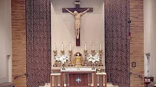 Tuesday Mass: Tuesday of the Fourteenth Week in Ordinary Time