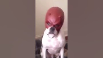 Why you shouldn’t trust your teammates in Apex Legends