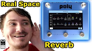 Poly Effects Beebo, REAL SPACE Reverb And Multi FX Unit