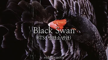 bts - black swan | bts audio edit