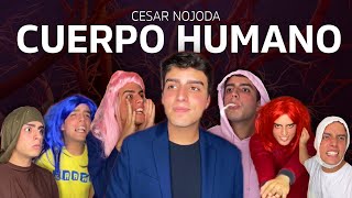 Recopilación del Cuerpo Humano Pt1