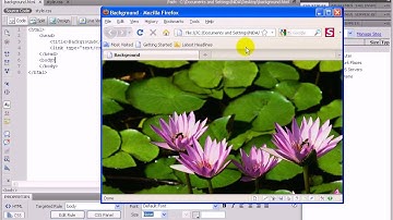 CSS Tutorial  Background