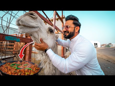Trying Camel Meat Karahi in MADINA | Madina Bakra Mandi, Cow Mandi & Camel Mandi | Saudi Arabia