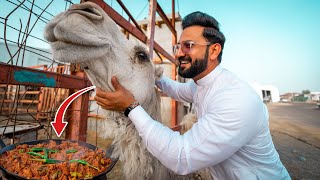 Trying Camel Meat Karahi in MADINA | Madina Bakra Mandi, Cow Mandi & Camel Mandi | Saudi Arabia